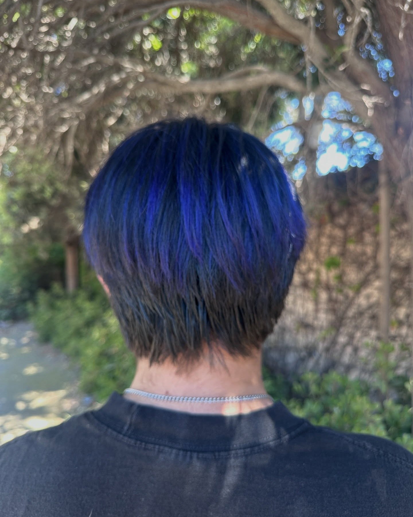 Blue on black — dimensional blue through a short layered cut